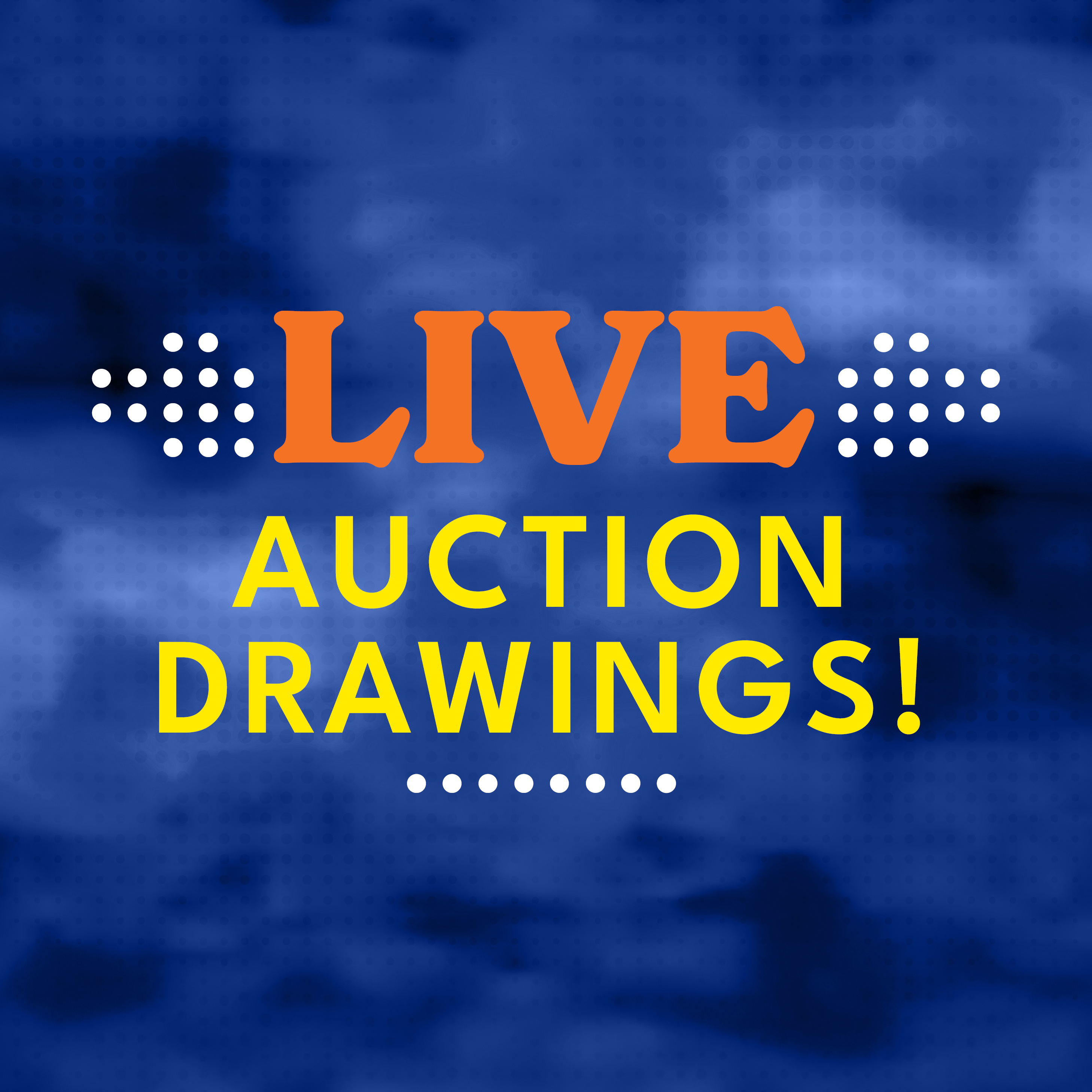 Auction Drawings